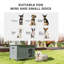 Wood Dog House