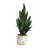 Sansevieria Artificial Plant in Decorative Planter