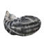 Animals Polyresin Garden Statue-1897219407