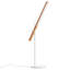Type A LED Desk Table Lamp-61733805-64610851