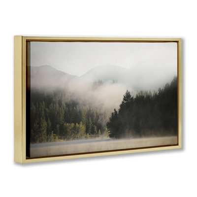  Toile flottante encadrée «Rolling Fog Woodland View» par Carol Robinson