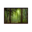 Bamboo Forest Window View by Bamboo Forest Window View - Print on Canvas-1738235989-1717106713