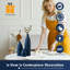 Ensemble de vases bleu mat