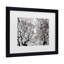 « japanese érable spring abstract », reproduction de photo sur toile-34370386-34370387