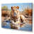 Wrapped Canvas