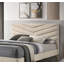 Mobilier de chambre à coucher capitonné Mid-Century-1673632885