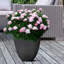 Concrete Effect Round Planter, Frostproof Outdoor Plant Pot, Round Garden Planter with Drainage Holes-39260878-39260670