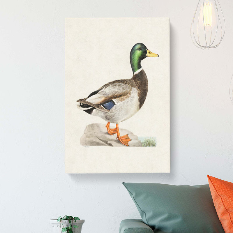 Male Mallard Duck by Von Wright - Wrapped Canvas, 60cm H x 40cm W x 3cm D