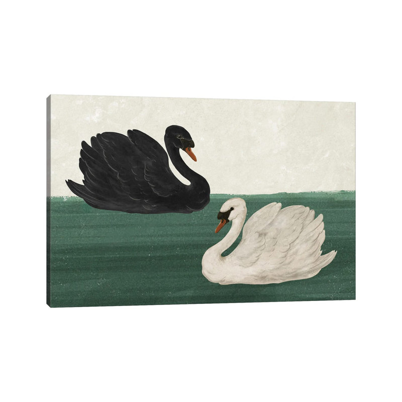 Cygne noir cygne blanc, Sans cadre, toile, H 18 po x l 26 po