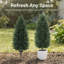 43.2 " H Faux Cedar Tree