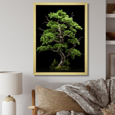 " Pine Purity In Forest I "