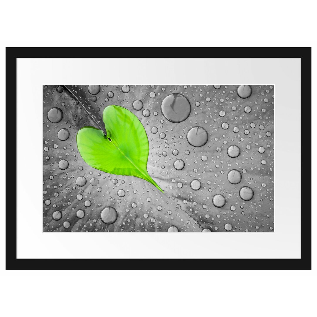 Gerahmtes Poster Dewdrop Heart