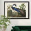 Louisiana Heron - reproduction d'art sur toile-143757993-143757992