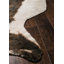 Tapis beige et brun en similicuir de vache Epic-2136738305