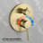 All-In-One Kit with Rough in-Valve