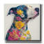 Toile épique Graffiti «Floral Pitbull» par Ann Klee, 12 po x 12 po-117053144