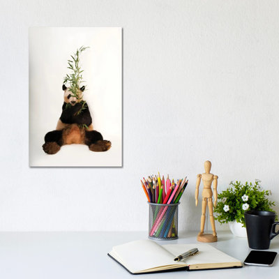 A Giant Panda At Zoo Atlanta I by Joel Sartore - Gallery-Wrapped Canvas Giclée on Canvas