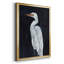 Calm Great Egret I - impression-1507152962-1507152967