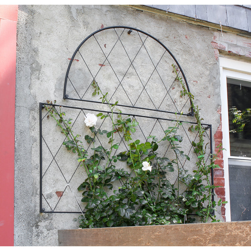 Danielson 42'' H x 46'' W Iron Lattice Panel Trellis