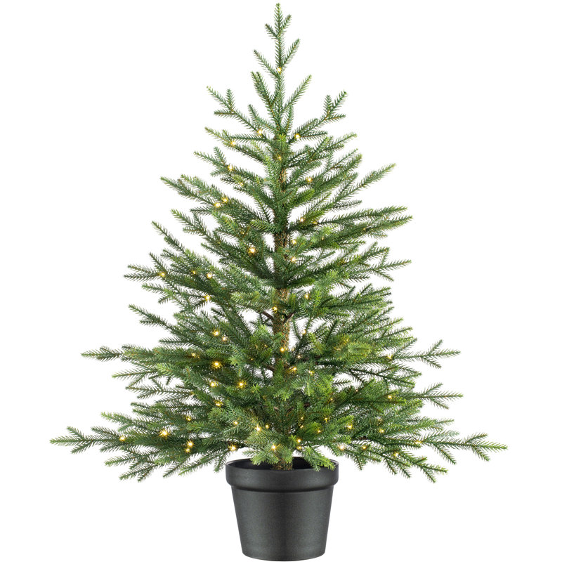 91cm H Lighted Artificial Fir Christmas Tree