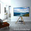 Channell TV Stand for TVs up to 70"-1677620270
