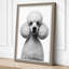Groomed Poodle Portrait Modern - Wrapped Canvas-691015173-691015170