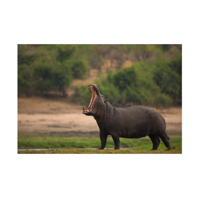 Amnon Eichelberg Big Mouth Canvas Art