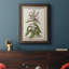 «Munting Botanicals II», reproduction d'art sur toile-172881623
