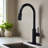 Kitchen Faucet With Pull Out Spraye