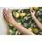 LEMON ZEST Peel & Stick Vinyl Floral Wallpaper Roll-1659376719