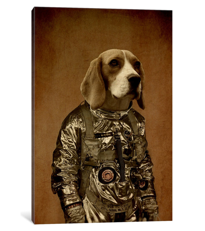 « beagle », impression sur toile, H 18 po x l 12 po x P 1,5 po