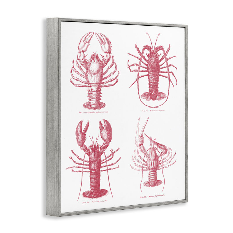 Estampe numérique Timeless Lobsters Species, design par lettres et doublure, H 30 po x l 24 po, Estampe numérique Farmhouse