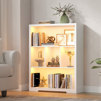 101cm H x 80cm W Bookcase