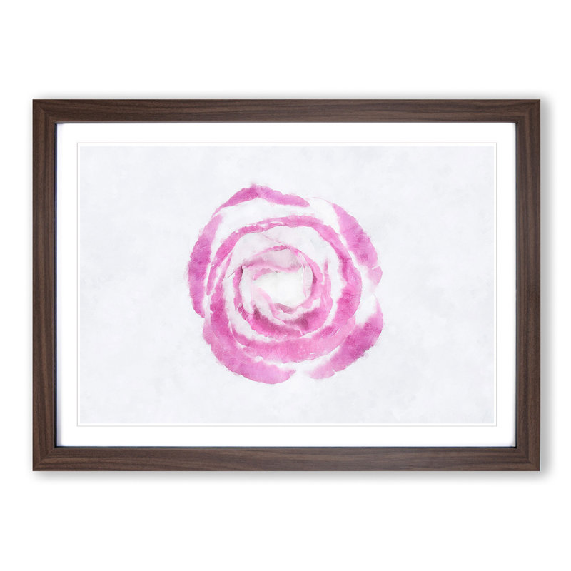 Pink Lisianthus Flower - Single Picture Frame Print on MDF, 24cm H x 33cm W x 2cm D, Walnut