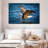 Brampt Bald Eagle Fishing-108709135