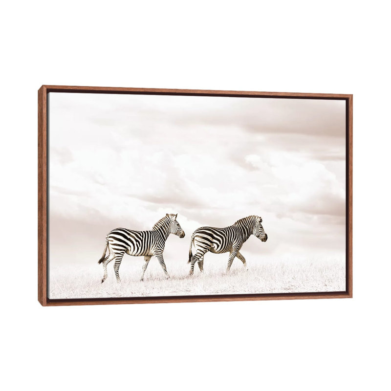 White Zebra Duo by Klaus Tiedge - Print on Canvas, 66.04 cm H x 45.72 cm W, Classic Brown Wood Framed