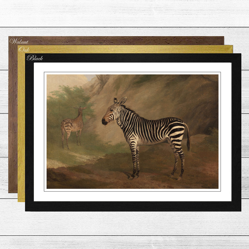 Zebra by Jacques-Laurent Agasse - Framed Print, Black
