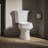 Wellworth 1.28 GPF Water Efficient Round Two-Piece Toilet (Seat Not Included)-10979835-101432460-101432461