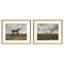Equestrian I Framed Print