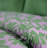Etavonni Home Twilight Forest-337910697