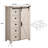 Charithra 5-Drawer Chest with Sliding Barn Door-1239068143