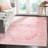 Chauncey Performance Oriental Rug-54975516
