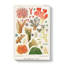 Great Barrier Reef Corals VII by W. Saville-Kent - Wrapped Canvas Painting Print-55366314