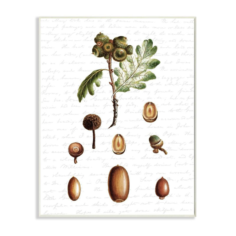 «Tree Seeds Nuts Fall Autumn Seasonal Design», impression, H 13 po x l 19 po, Plaque murale