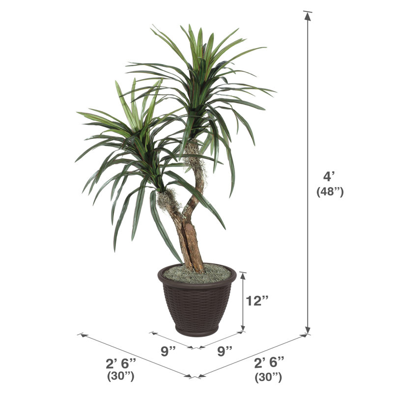 Artificial Marginata Tree, Brown