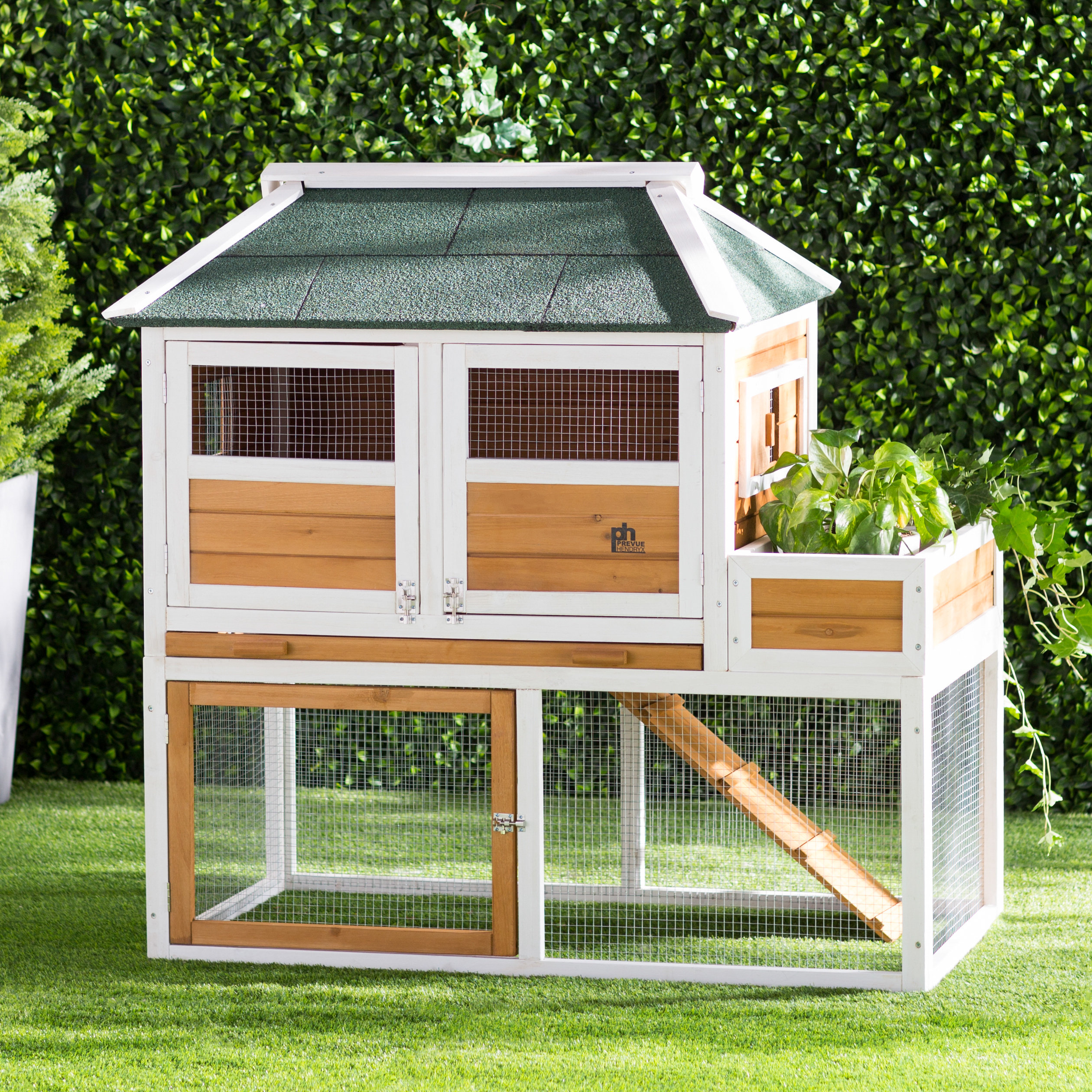 Chicken Coop