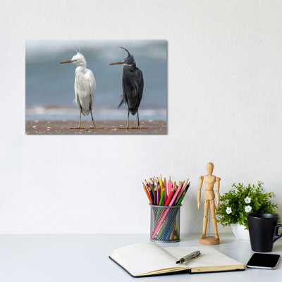 Untitled 1 Piece Wrapped Canvas Wall Art