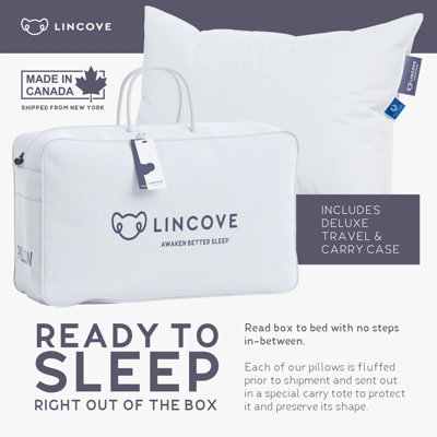 Premium White Goose Down Pillow - 700 Fill Power - Double Stitched With German Piping - Firm - King
