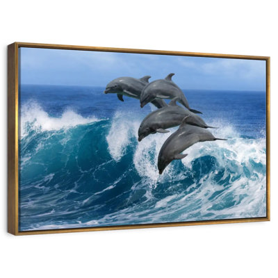 Dolphins In Hawaii