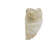 Fringed Cotton Throw Pillow